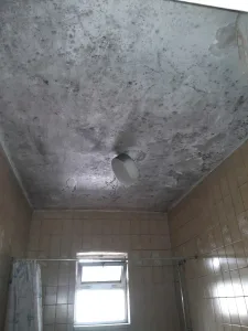 السند لصيانة المنازل العامة