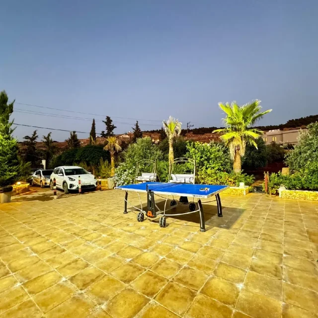 مزرعة الاقصى للايجار 