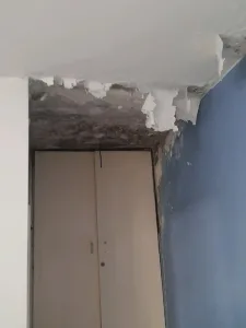 السند لصيانة المنازل العامة