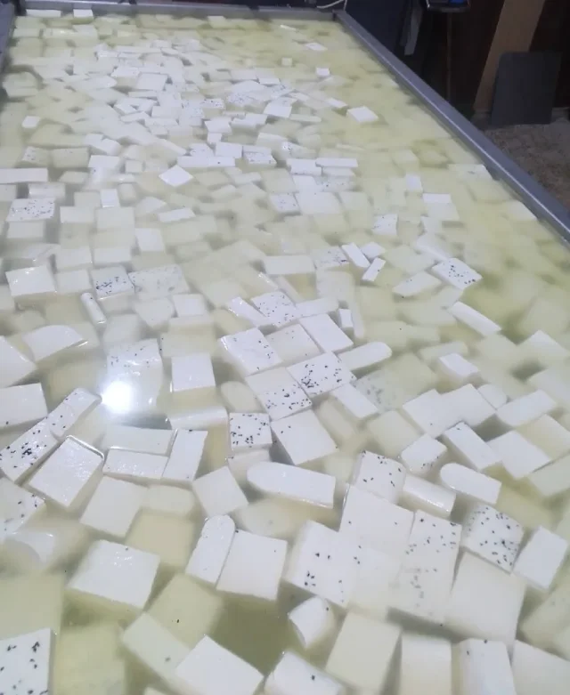 جبال القرية للأجبان 
