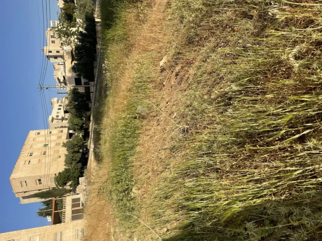 حسين علي حسين الفحام