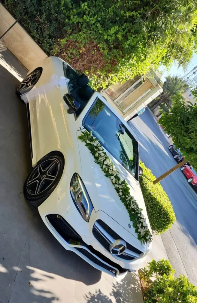Ayla_car_rental
