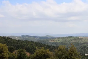 جرش العقاريه