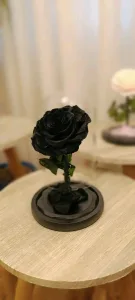 Forever rose Jo