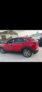 Eldorado rent a car
