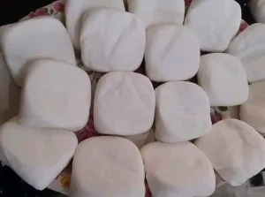 ألبان وأجبان البتول