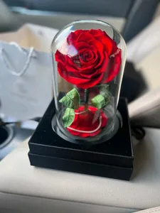 Forever rose Jo