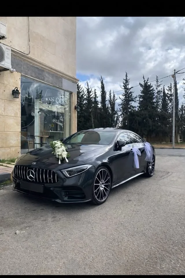 Ayla_car_rental