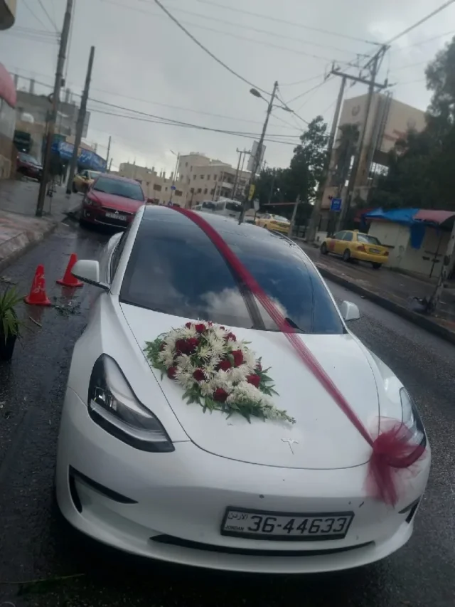 أزهار إسطنبول 