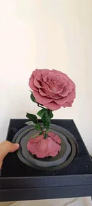 Forever rose Jo
