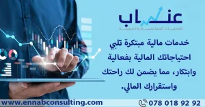 Ennab For Accounting & Tax Services