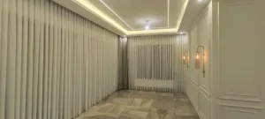 شاهين