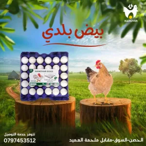 مؤسسة إياد ابوحصان لتجارة البيض والالبان