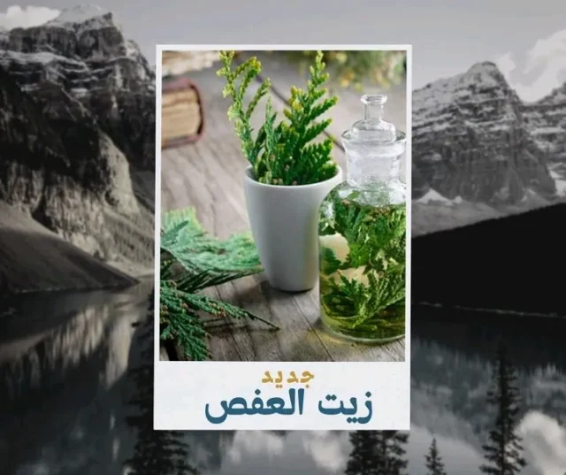 مجموعه الجوابرة التجارية