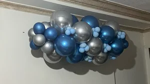 ابو الزينة