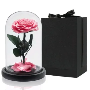 Forever rose Jo