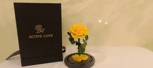 Forever rose Jo