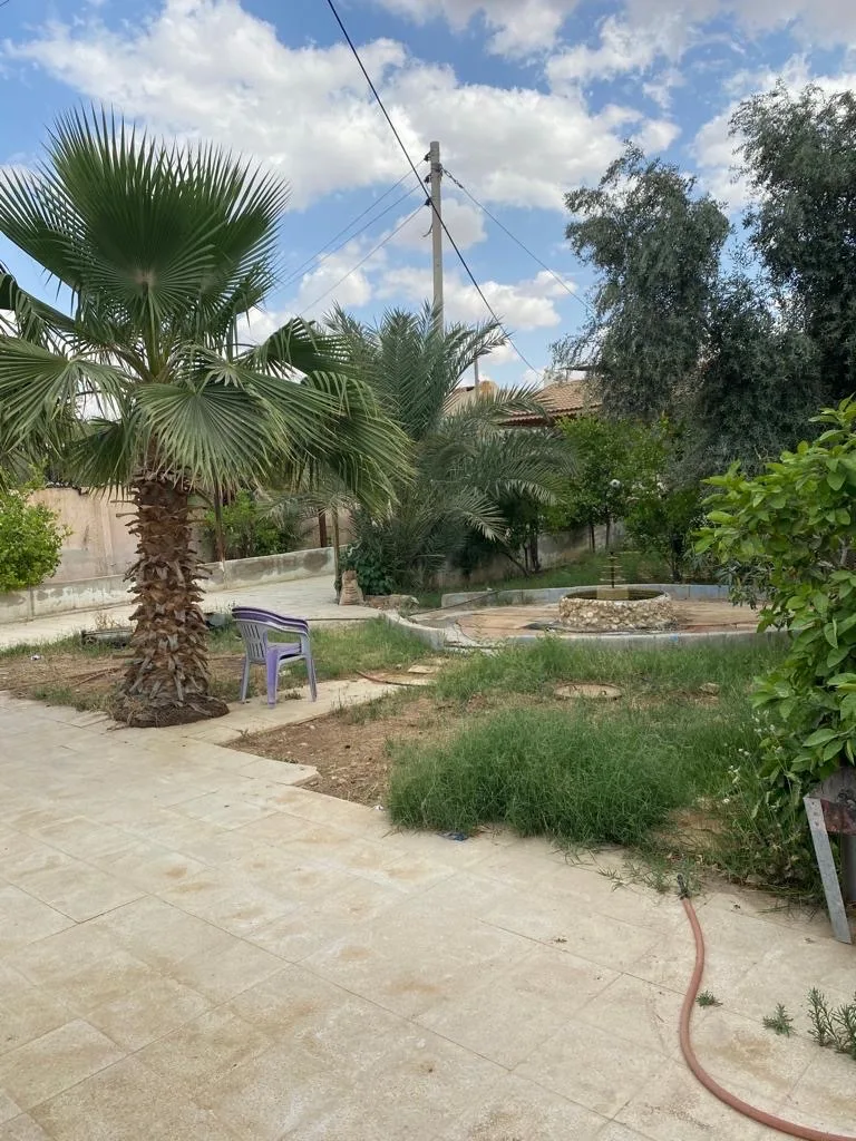 مزرعة مع بيت ريفي في الغور