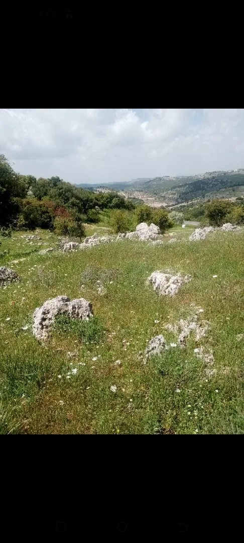 دونمين ارض للبيع في عجلون