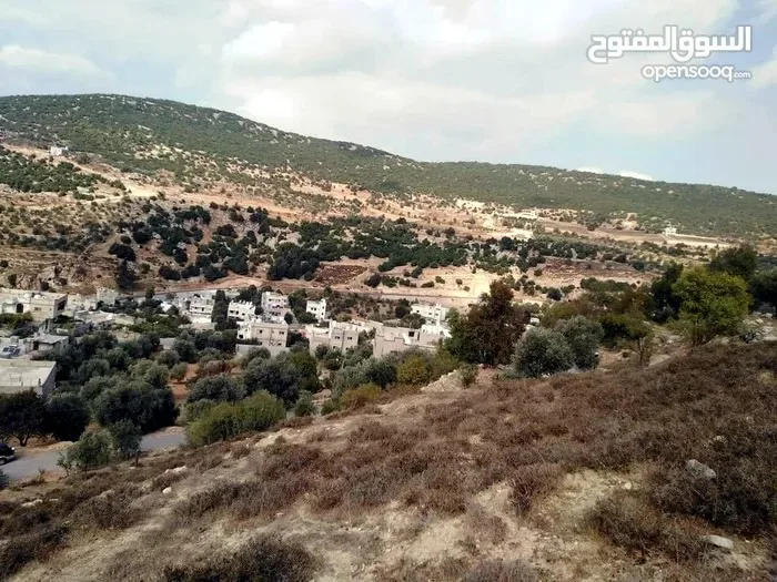 � أرض بإطلالة مباشرة على قلعة عجلون للبيع