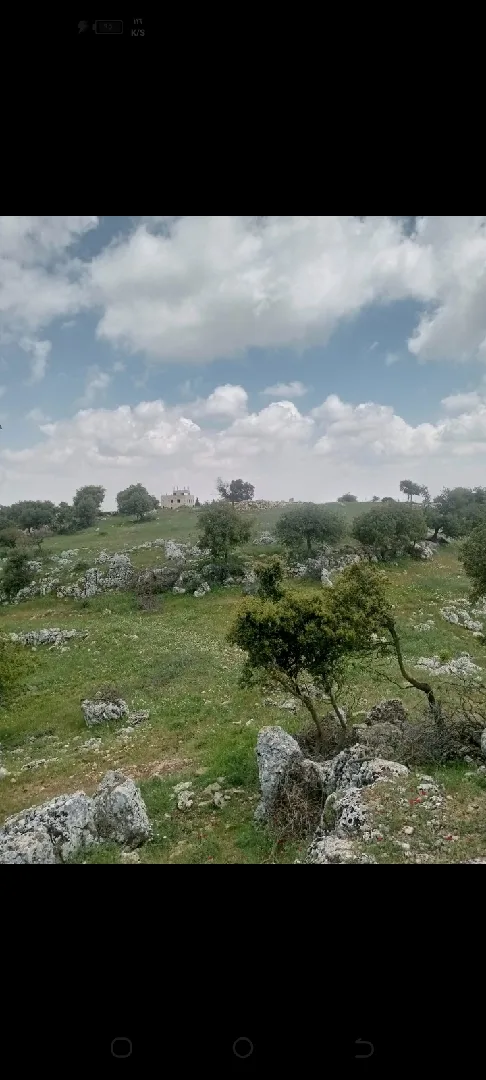 دونمين ارض للبيع في عجلون