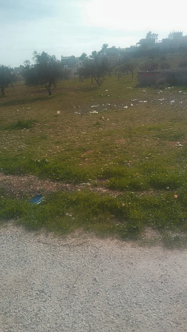 ارض للبيع