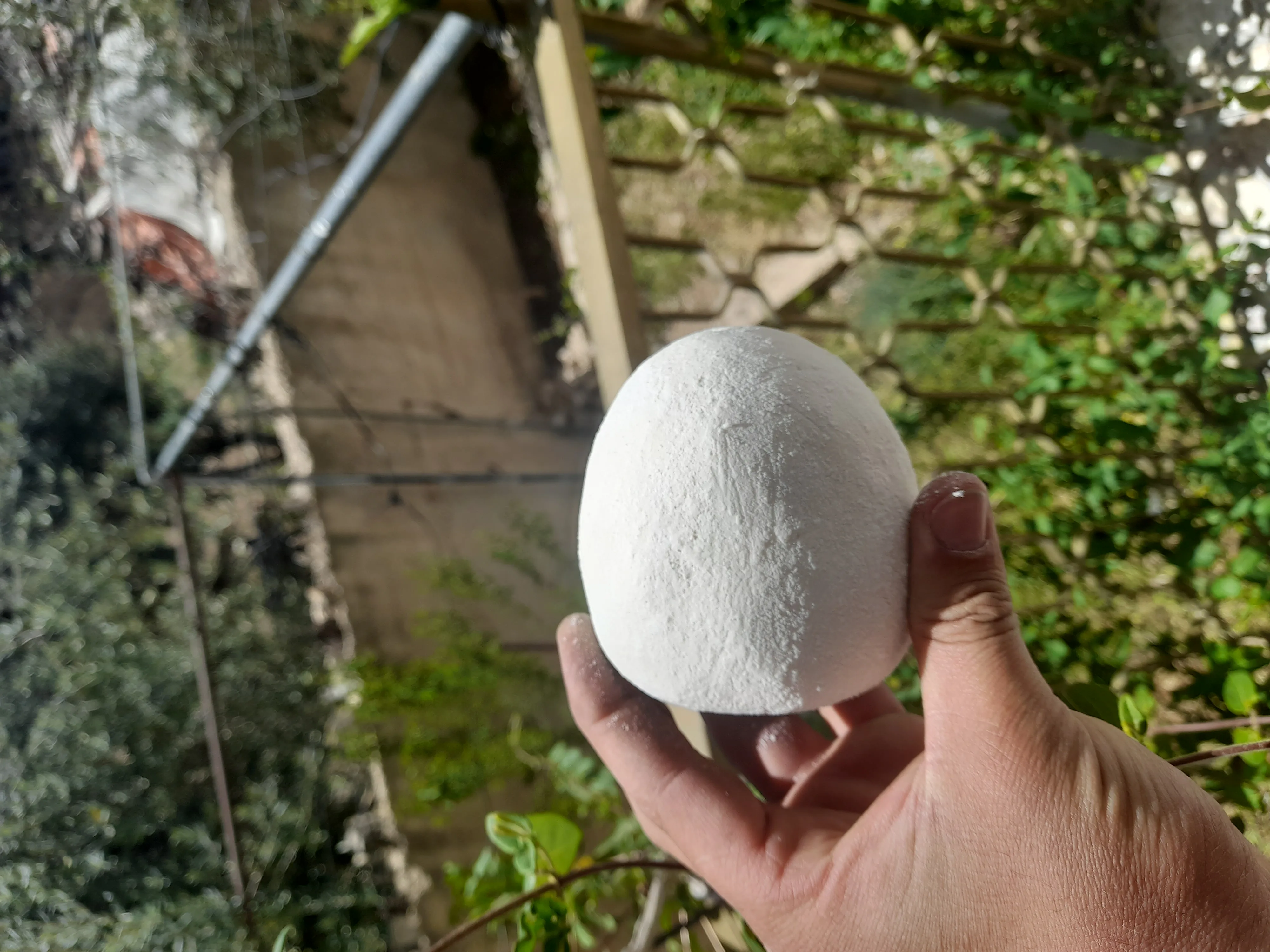 جميد كركي وسمن بلدي شغل نضيف ومكفول وأسعار مناسبه للجميع وخدمه توصيل وأسعار خاصه