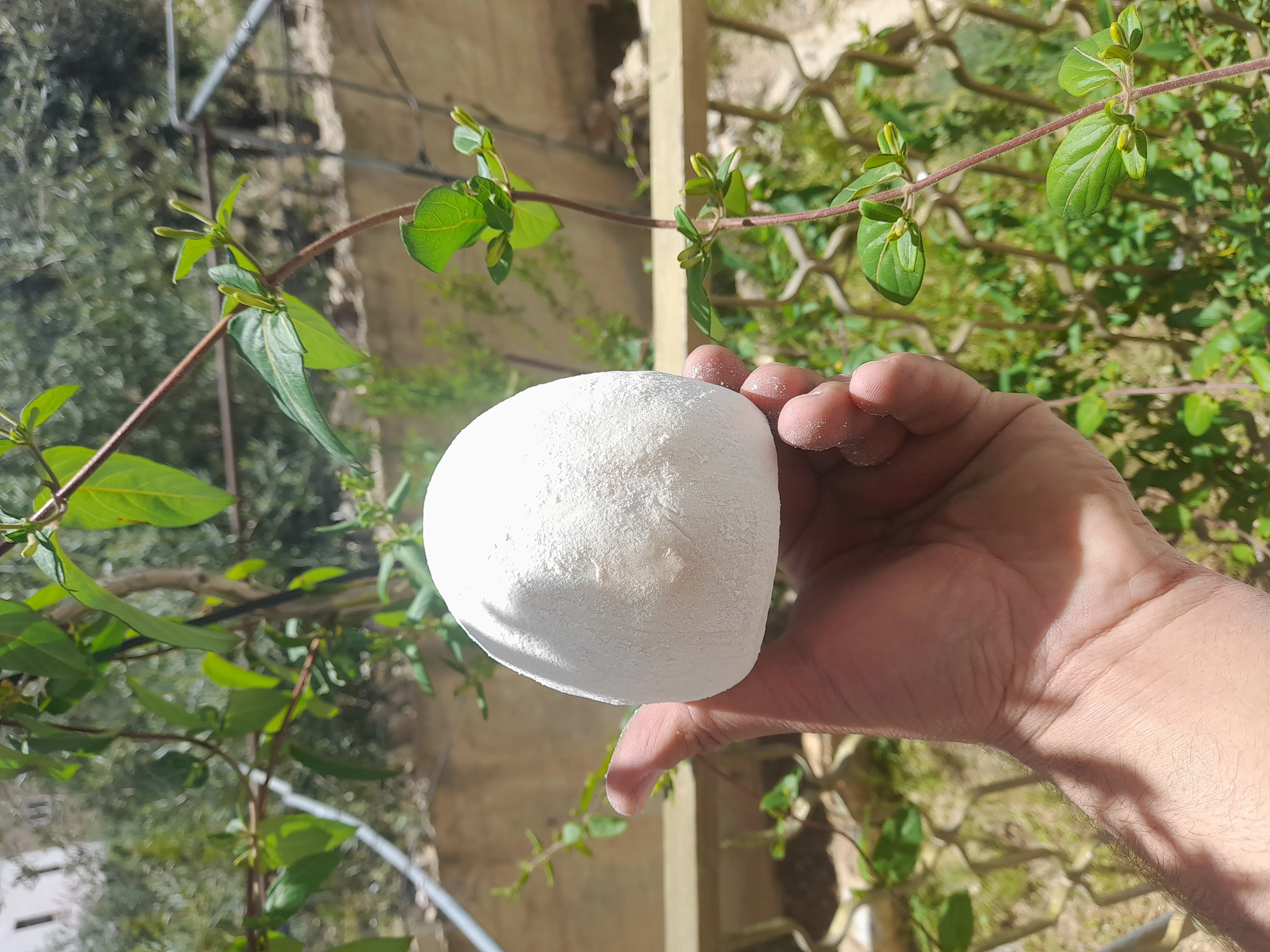 جميد كركي وسمن بلدي شغل نضيف ومكفول وأسعار مناسبه للجميع وخدمه توصيل وأسعار خاصه