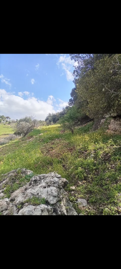 1900 متر للبيع في عجلون/الشارع العام