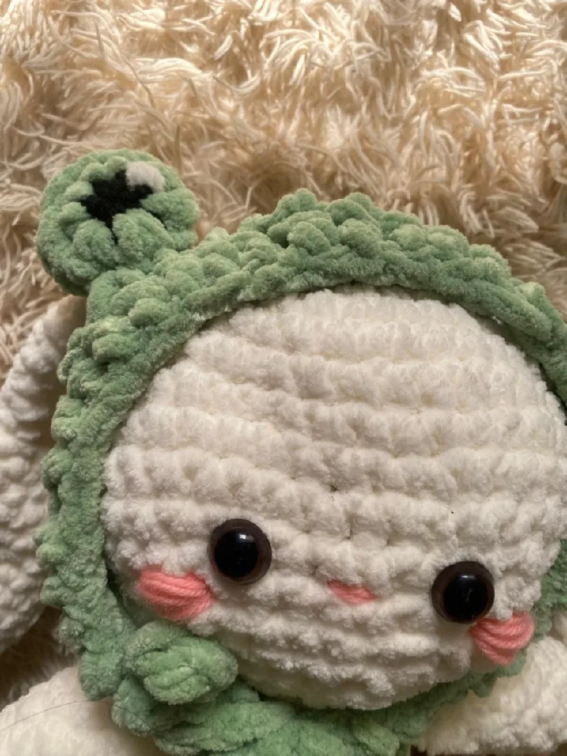Froggy Bunny🐰