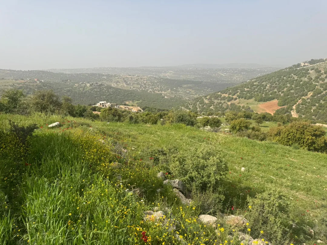 ارض بالزعتري السلط اطلاله رائعه