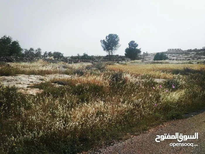 أرض زراعيّة تصلح لعمل مزرعة بأقل سعر في المنطقة