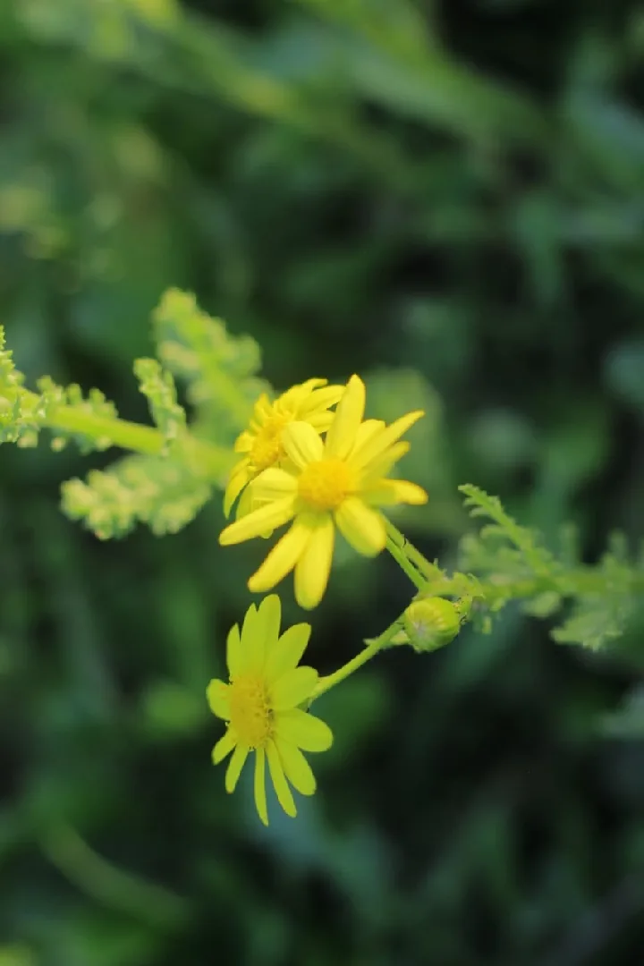 تدريس من الصفر على القراءة