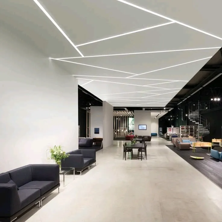 ليد بروفايل