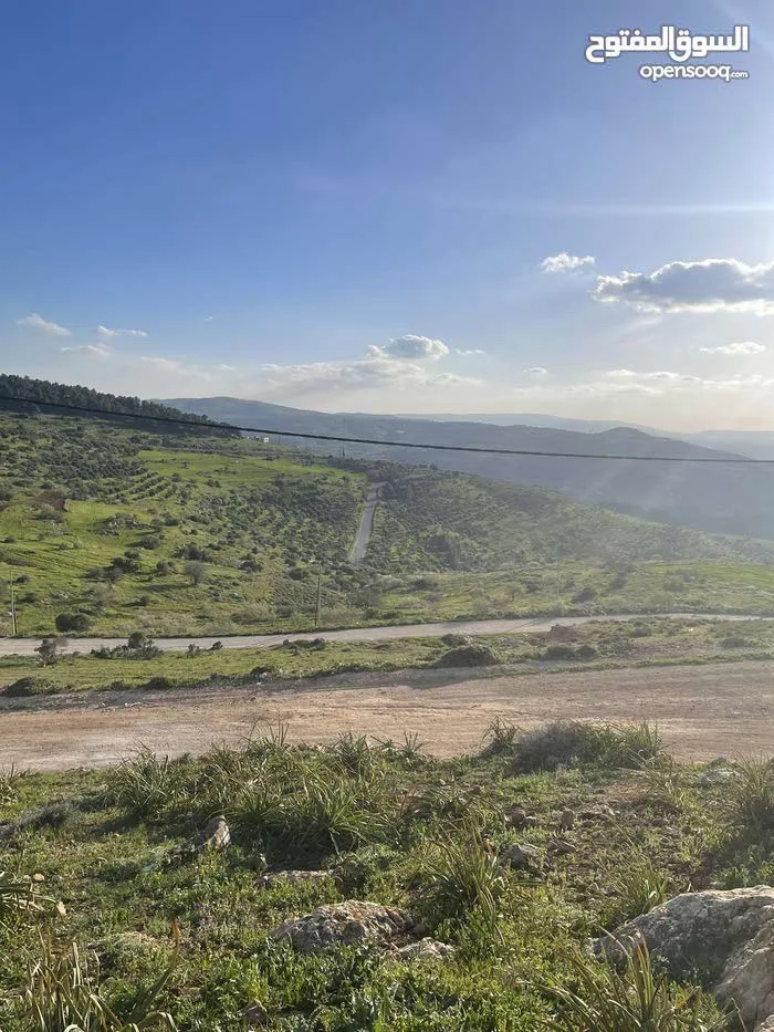 نمرة مميزة في أجمل جبال جرش تصلح لبناء شاليه منطقة شاليهات بجانب شاليهات الرويال