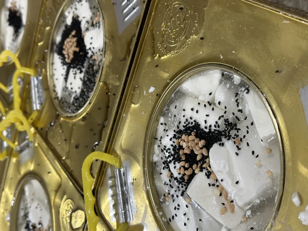 جبنة بلدية مغلية خير السنة