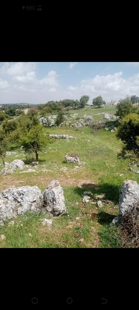 دونمين ارض للبيع في عجلون