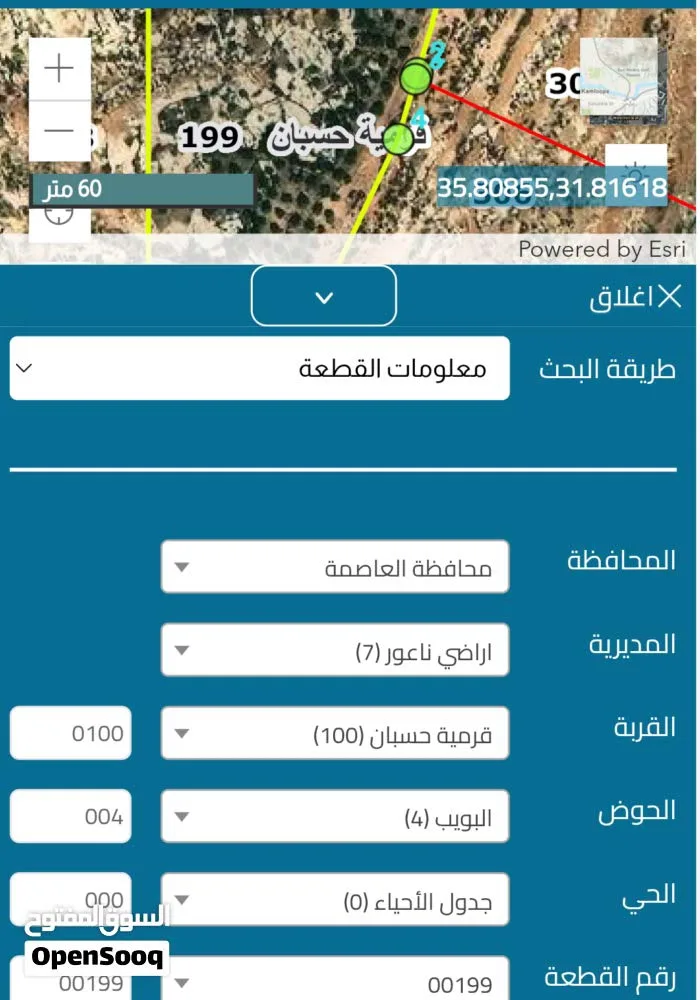 ارض للبيع على حدود التنظيم