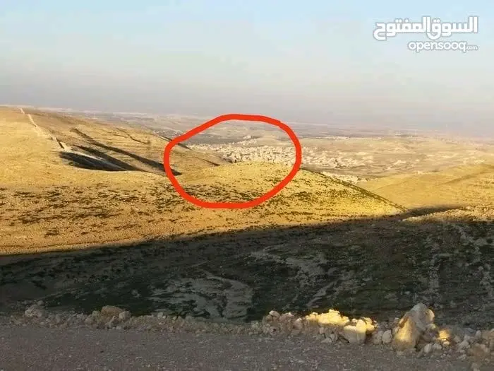 ارض ابو الزيغان