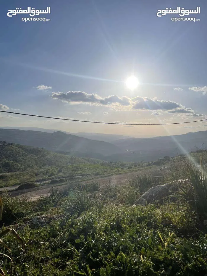 نمرة مميزة في أجمل جبال جرش تصلح لبناء شاليه منطقة شاليهات بجانب شاليهات الرويال