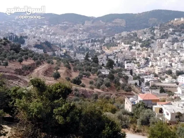 � أرض بإطلالة مباشرة على قلعة عجلون للبيع