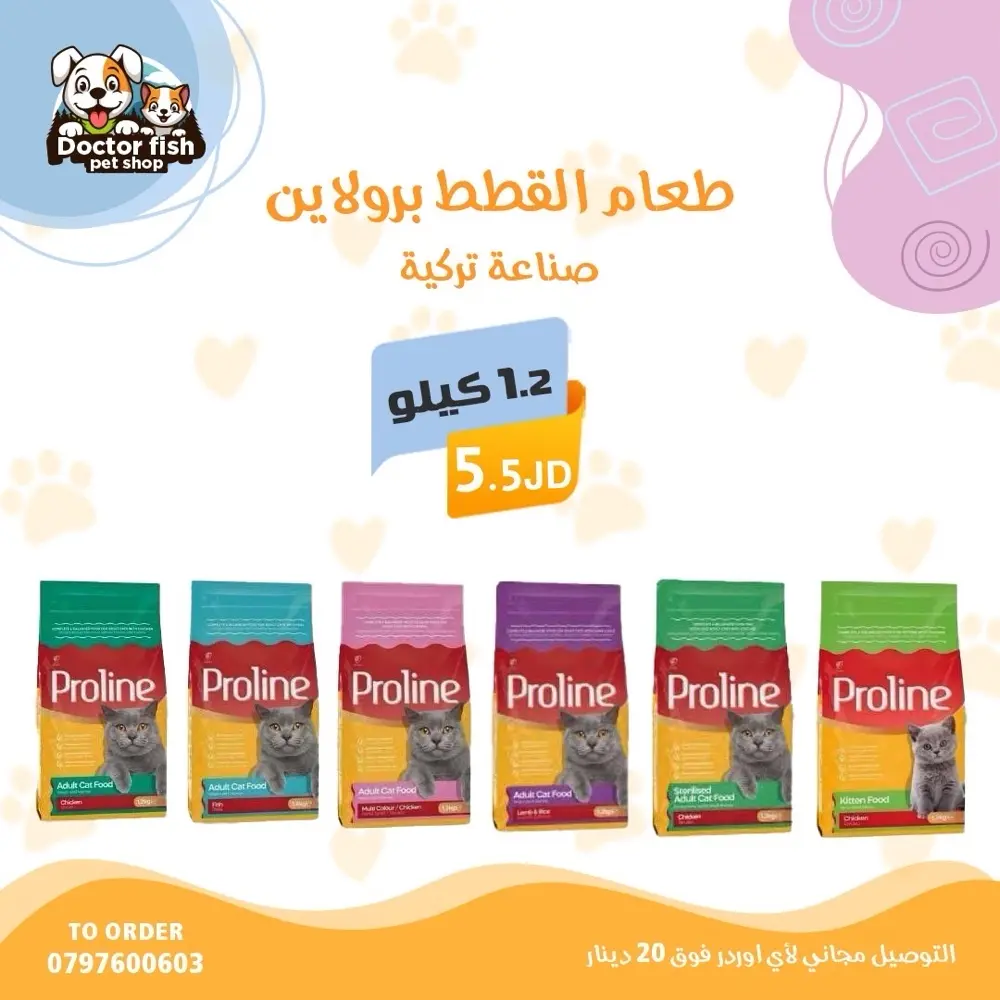 اكل قطط