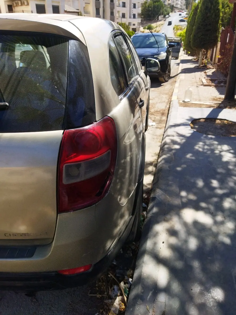 شفرليه كابتيفيا للبيع