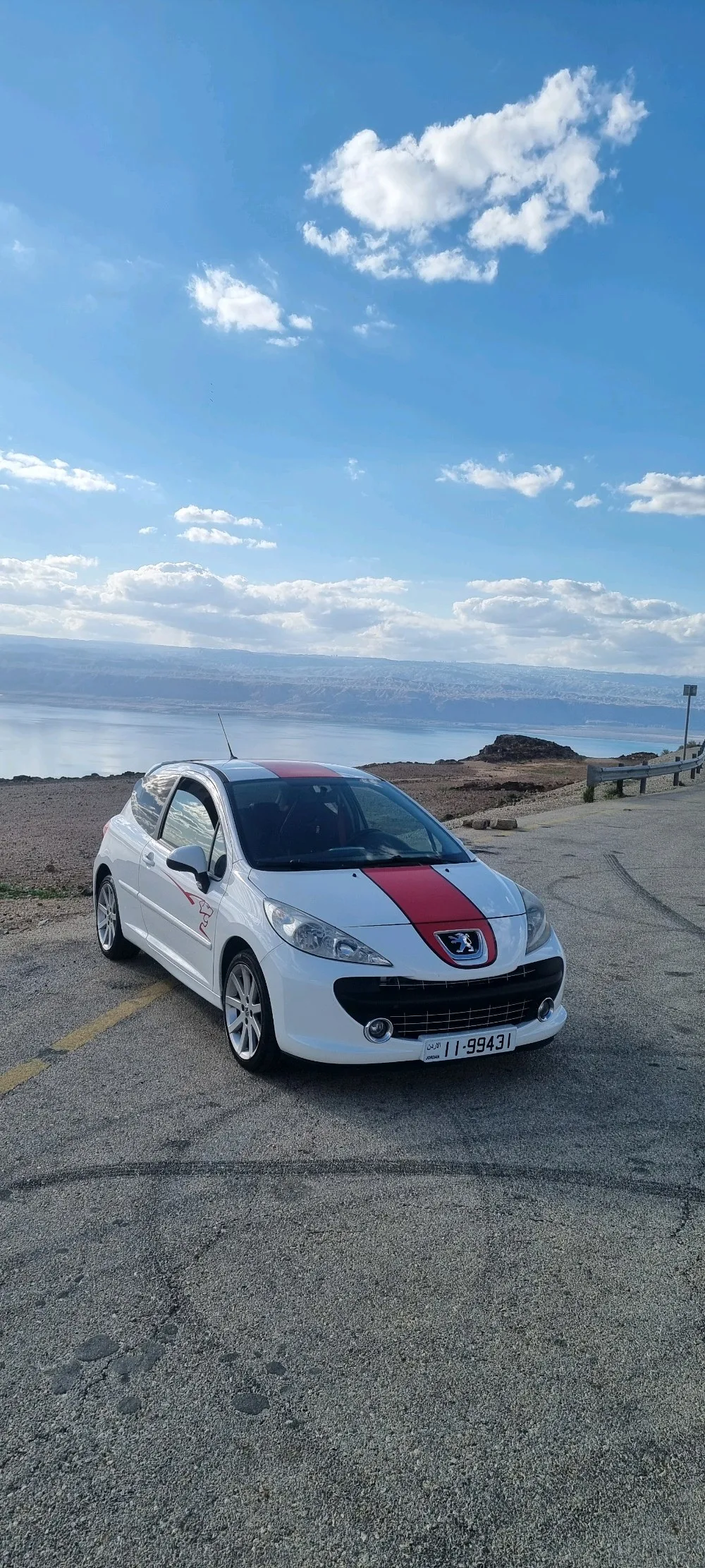 peugeot 207RC LE MANS