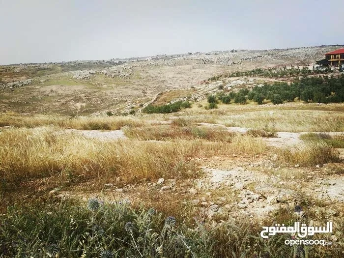 أرض زراعيّة تصلح لعمل مزرعة بأقل سعر في المنطقة