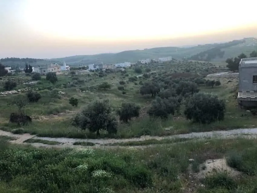 مزرعة مميزة مفروزة مخدومة على ٣ شوارع