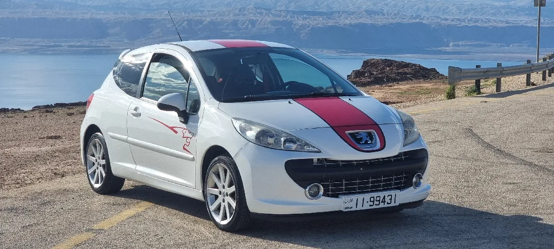 2009 Peugeot 207RC LE MANS