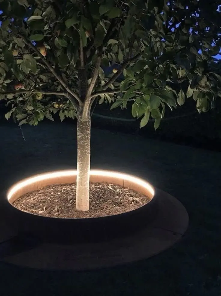 ستريب لايت strip light