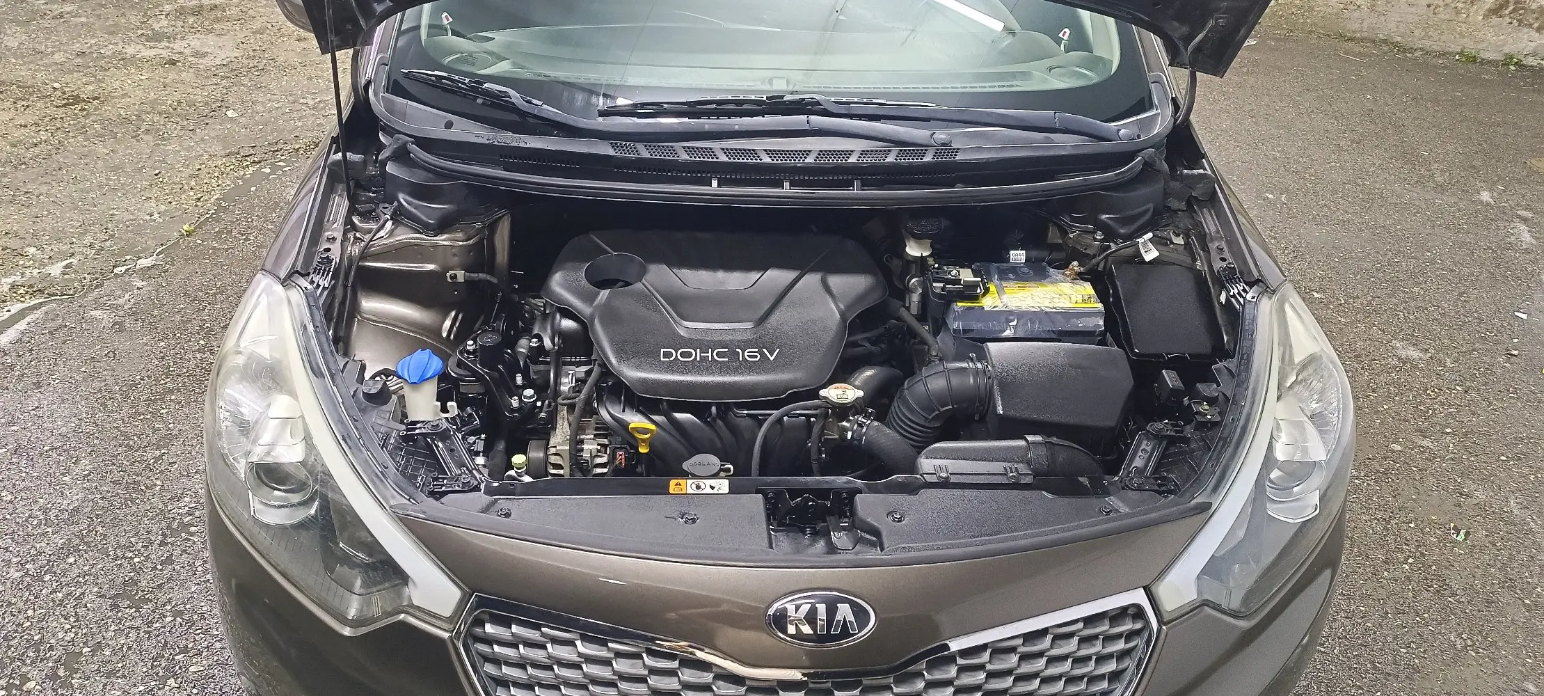 كيا سيراتو وراد الشركة