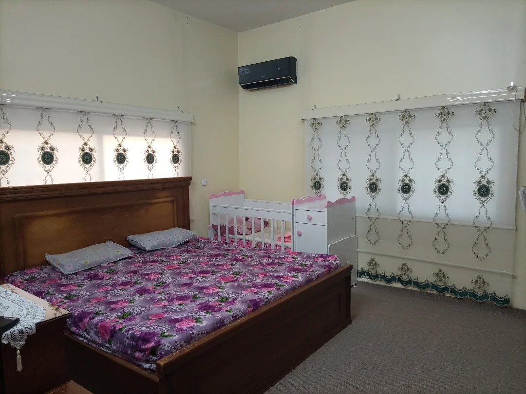 برادي زيبرا عدد 2